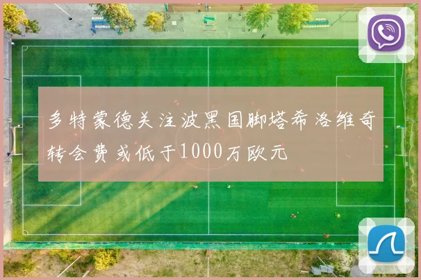 多特蒙德关注波黑国脚塔希洛维奇转会费或低于1000万欧元