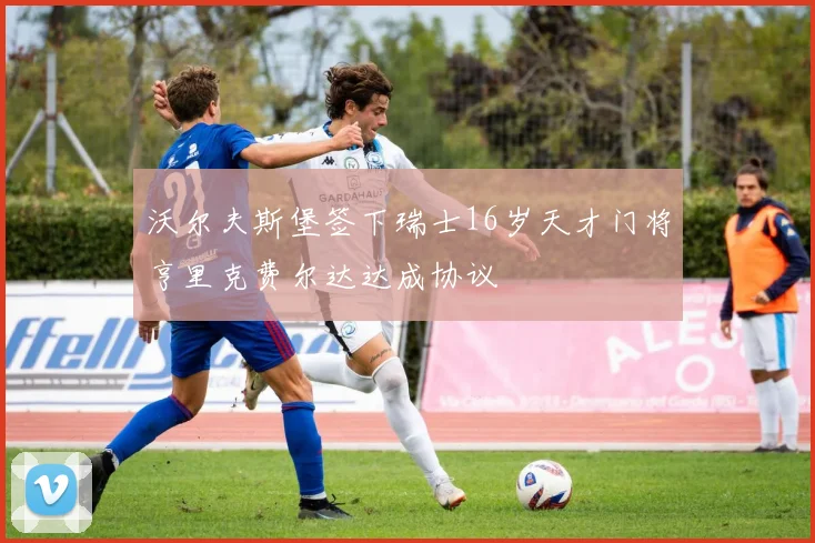 沃尔夫斯堡签下瑞士16岁天才门将亨里克费尔达达成协议